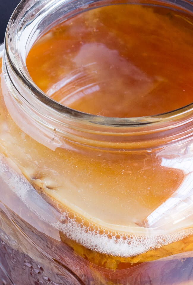 Live kombucha SCOBY culture in a fermentation jar