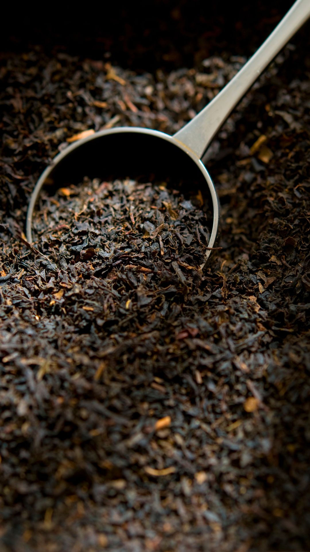 Scoop of premium black tea leaves